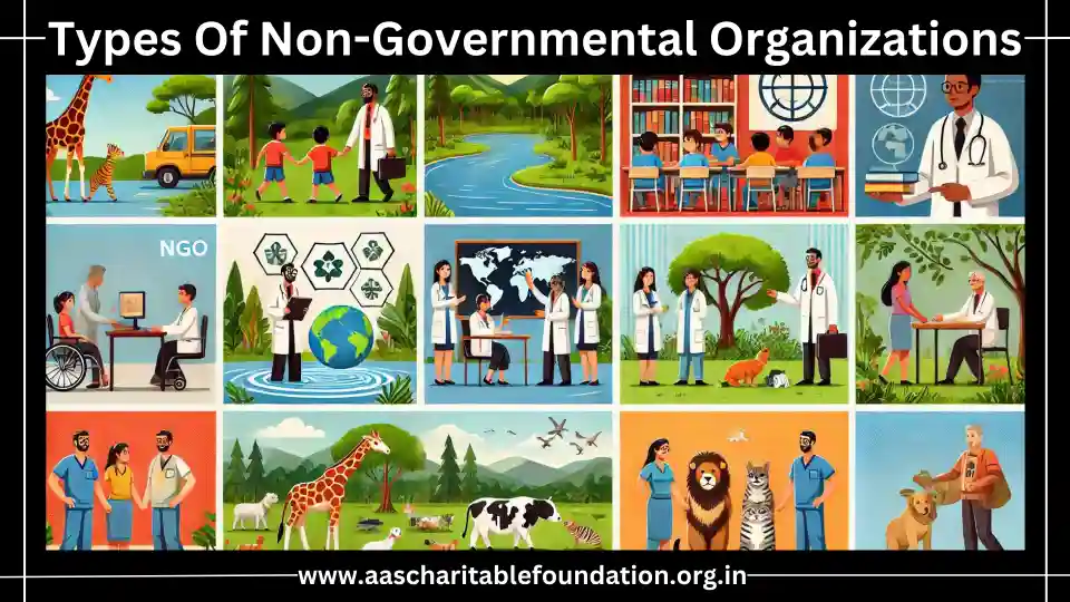 Explore the various types of NGOs, their purposes, and the critical roles they play in addressing social, environmental, and economic challenges worldwide.